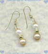 Freshwater pearls and 14K Gold fill Earrings - Click for a larger picture