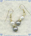 Freshwater pearls and 14K Gold fill Earrings - Click for a larger picture