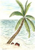 TwoHearts_100dpi_Color(24bit)_Thumb.jpg (7977 bytes)